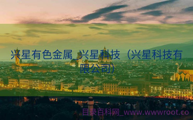 兴星有色金属_兴星科技（兴星科技有限公司）