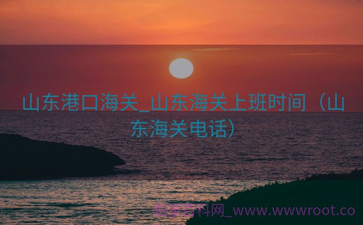 山东港口海关_山东海关上班时间（山东海关电话）