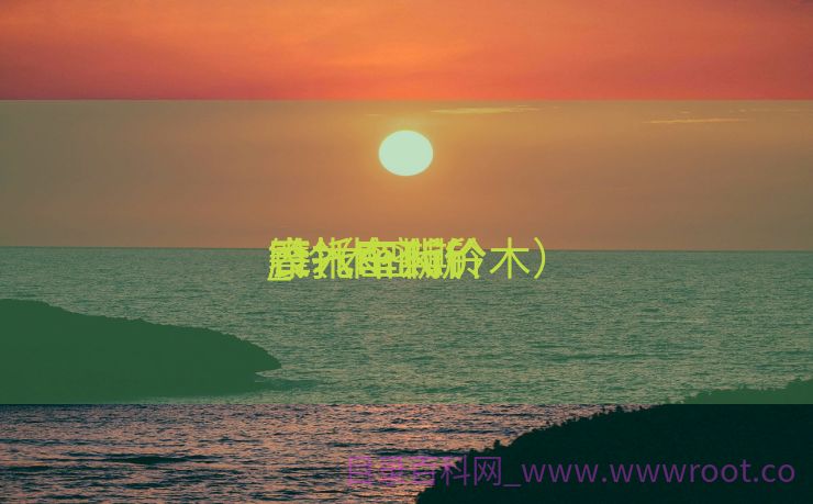 铃木密斯
摩托车代价
_铃木密斯
摩托车代价
表（miki铃木）