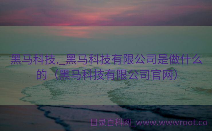 黑马科技._黑马科技有限公司是做什么的（黑马科技有限公司官网）