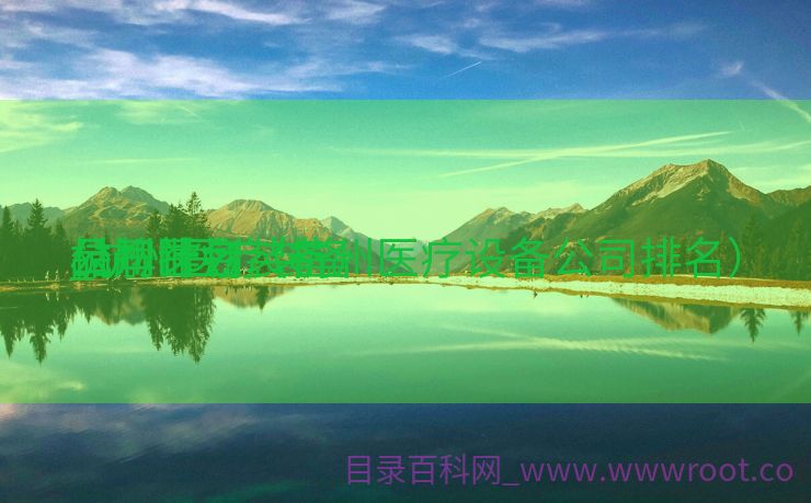 杭州医疗装备
品牌计划
_杭州医疗装备
公司排名（杭州医疗设备公司排名）