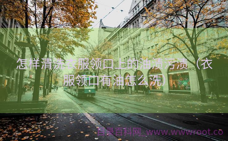 怎样清洗衣服领口上的油渍污渍（衣服领口有油怎么洗）