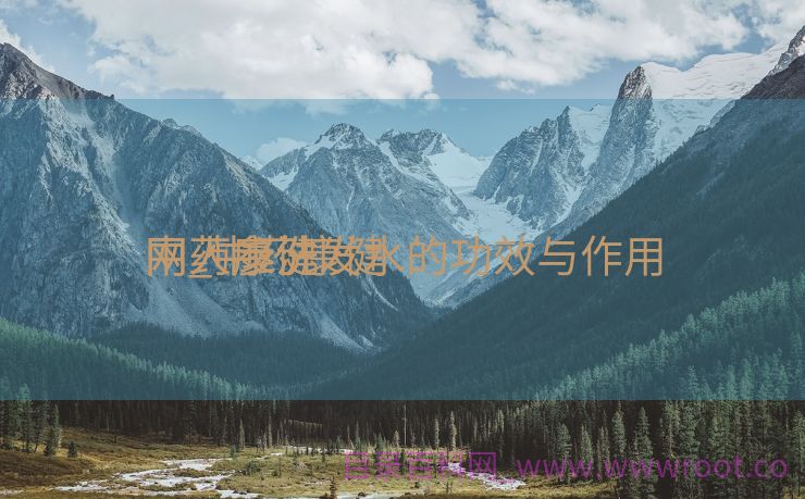 中药康健
网_中药康健
网人参洗发水的功效与作用