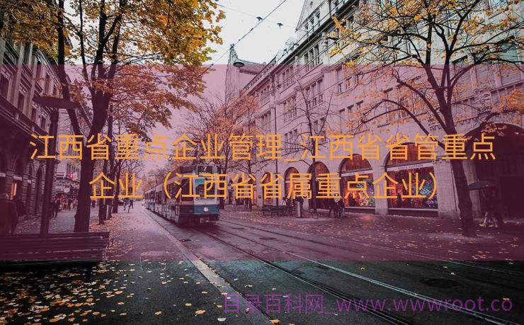 江西省重点企业管理_江西省省管重点企业（江西省省属重点企业）