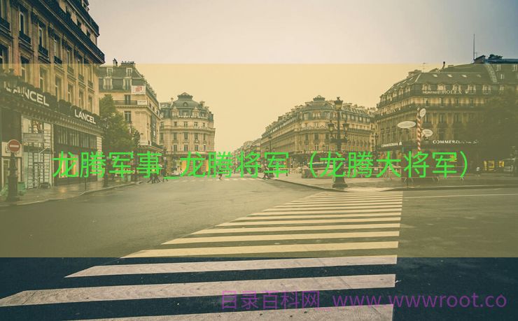 龙腾军事_龙腾将军（龙腾大将军）
