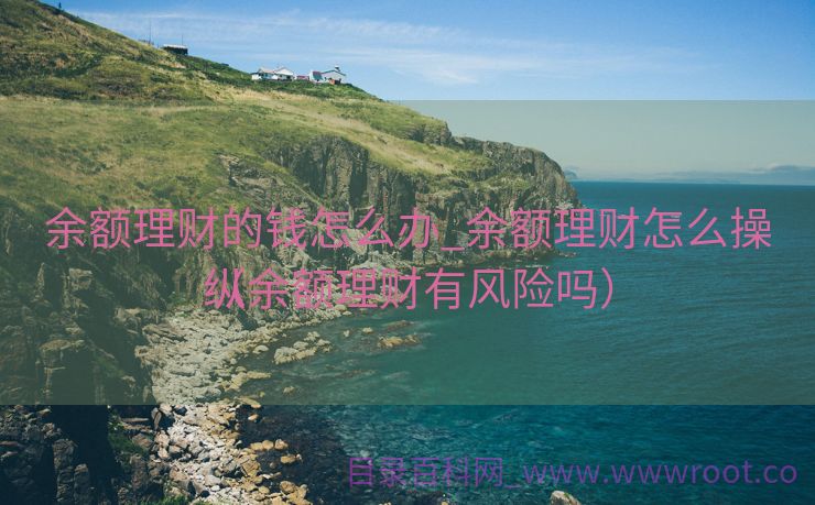 余额理财的钱怎么办_余额理财怎么操纵
（余额理财有风险吗）