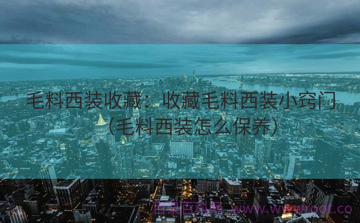 毛料西装收藏：收藏毛料西装小窍门（毛料西装怎么保养）