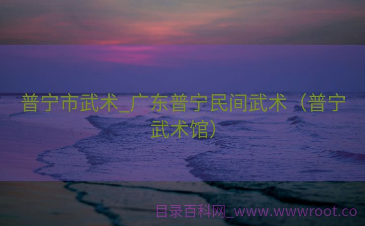 普宁市武术_广东普宁民间武术（普宁武术馆）