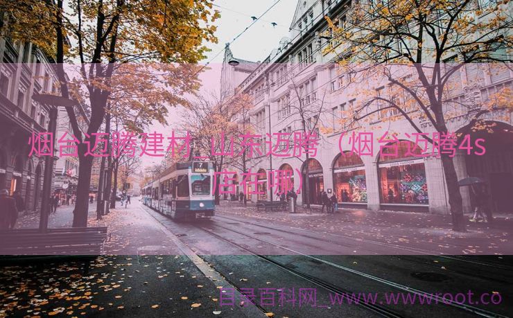 烟台迈腾建材_山东迈腾（烟台迈腾4s店在哪）
