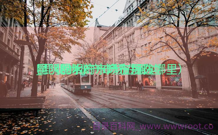 昆明的水产市场在那边

_昆明的水产市场在那边

啊（昆明的水产市场在哪里）