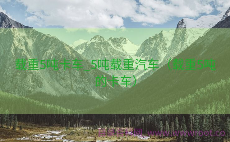 载重5吨卡车_5吨载重汽车（载重5吨的卡车）