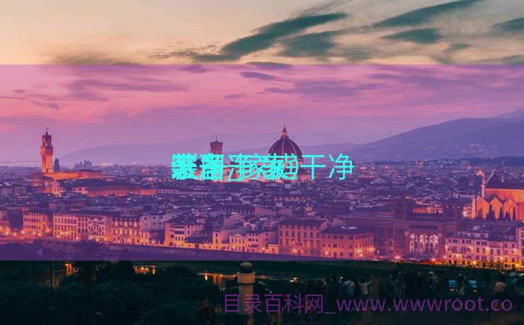 家居干净
干净
装备
汇净_家庭干净
装备
（干净 家）