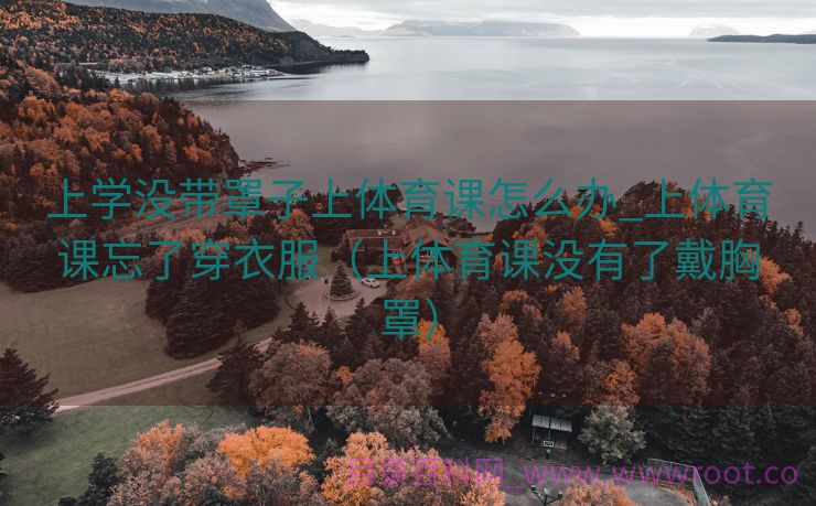 上学没带罩子上体育课怎么办_上体育课忘了穿衣服（上体育课没有了戴胸罩）