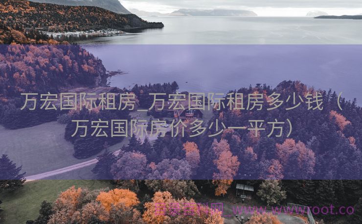 万宏国际租房_万宏国际租房多少钱（万宏国际房价多少一平方）
