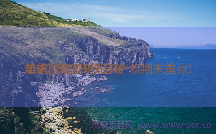 知识产权范畴
年末
总结_知识产权范畴
年末
总结怎么写（知识产权期末重点）