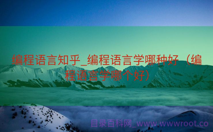 编程语言知乎_编程语言学哪种好（编程语言学哪个好）