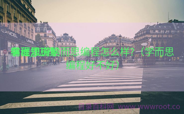 学而思头脑
编程_叨教
有谁知道学而思编程怎么样?（学而思编程好不好）