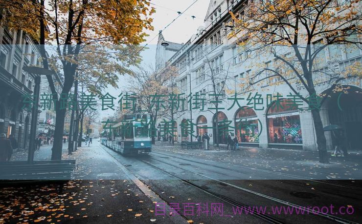 东新路美食街_东新街三大绝味美食（东新路美食一条街）