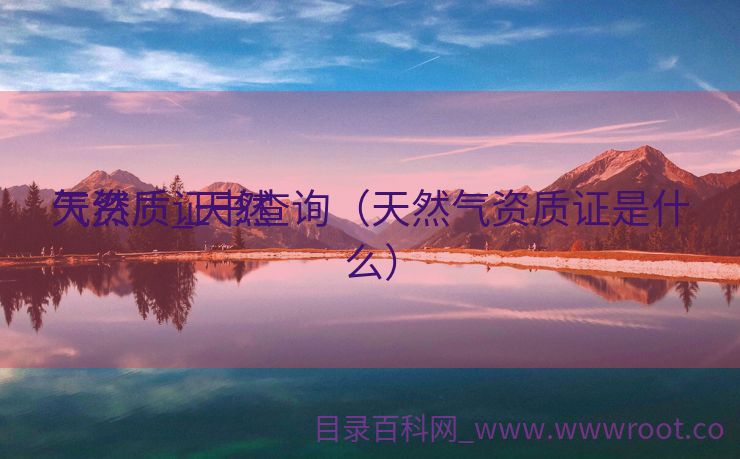 天然

气资质_天然

气资质证书查询（天然气资质证是什么）