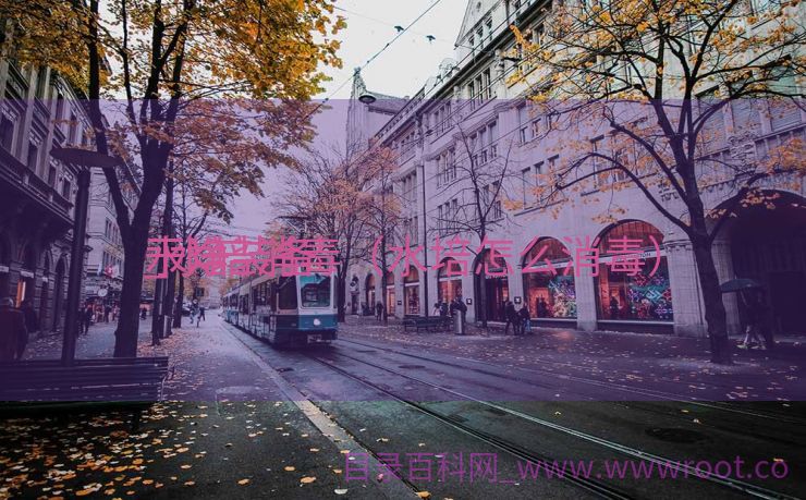 水培装备
干净
_水培消毒（水培怎么消毒）