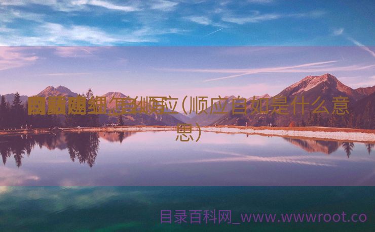 自顺应
网站建立
收费明细_自顺应
网站建立
收费明细怎么写（顺应自如是什么意思）