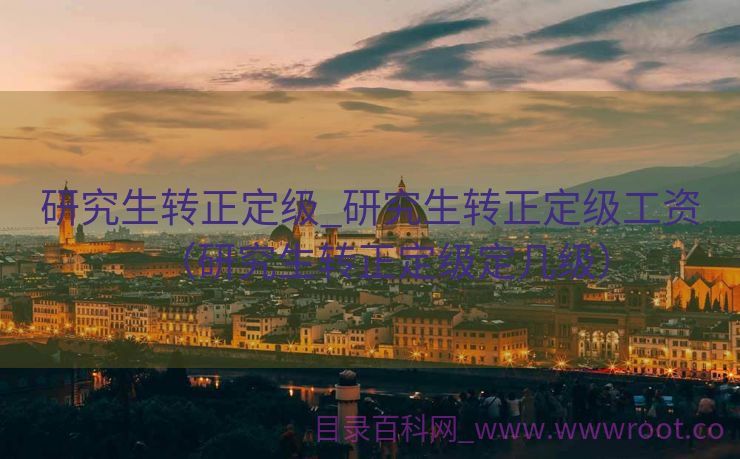 研究生转正定级_研究生转正定级工资（研究生转正定级定几级）