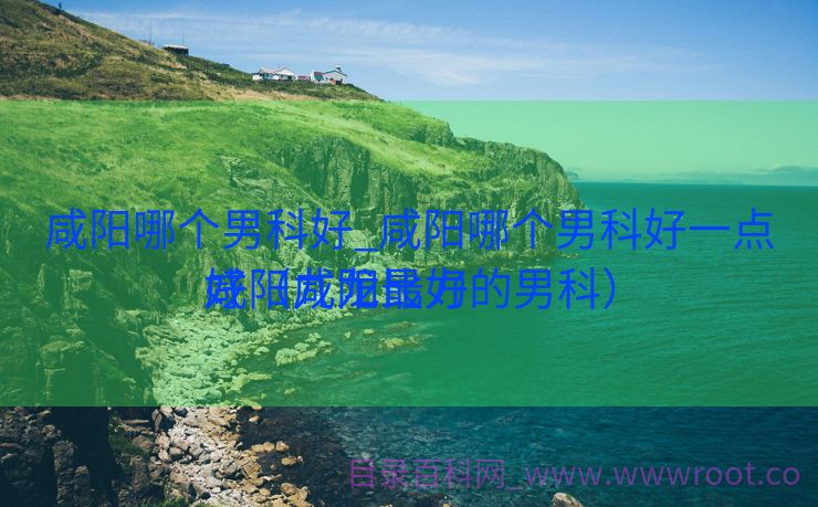 咸阳哪个男科好_咸阳哪个男科好一点咸阳九龙比力
好（咸阳最好的男科）