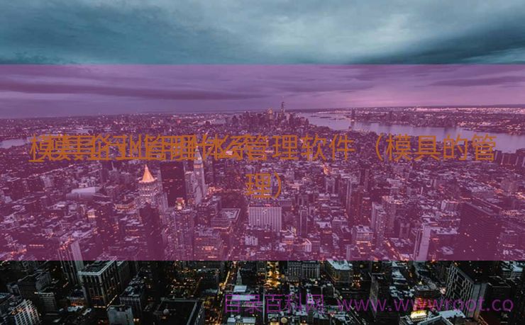 模具企业管理体系
_模具行业用什么管理软件（模具的管理）