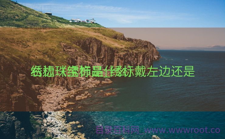 绣标珠宝饰品_绣标戴左边还是

右边（绣标是什么）