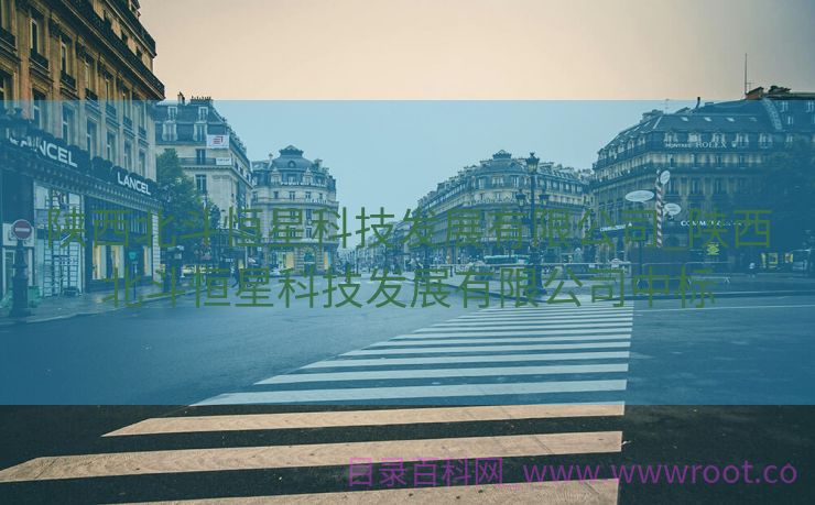 陕西北斗恒星科技发展有限公司_陕西北斗恒星科技发展有限公司中标