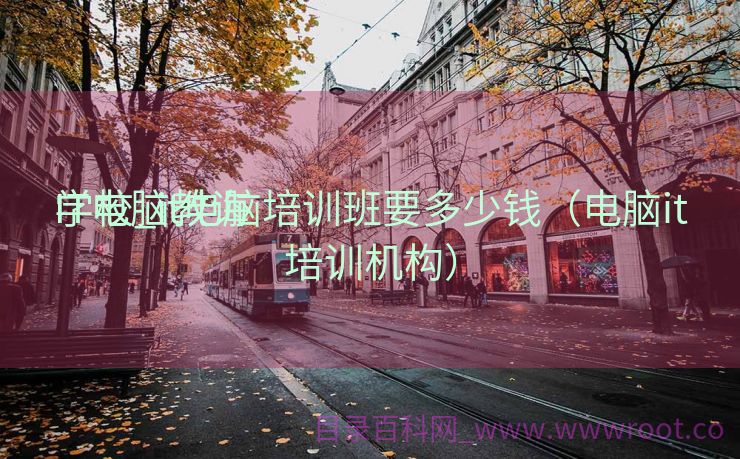 IT电脑教诲
学校_it电脑培训班要多少钱（电脑it培训机构）