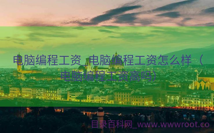 电脑编程工资_电脑编程工资怎么样（电脑编程工资高吗）