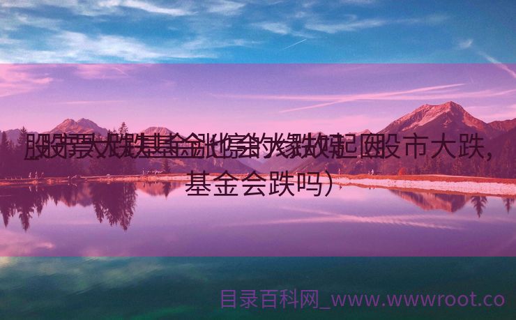 股市大跌基金涨停的缘故起因

_股票大跌基金也会大跌吗（股市大跌,基金会跌吗）