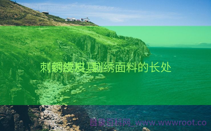 刺绣皮料_刺绣面料的长处
（刺绣皮具）