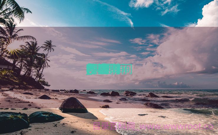 网期间
IT教诲
什么时间
创建

_网期间
教诲
在哪