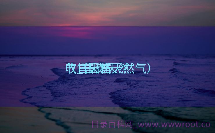 收售天然

气_售卖天然

气（出售天然气）
