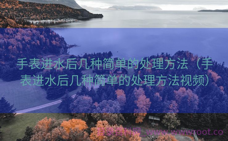 手表进水后几种简单的处理方法（手表进水后几种简单的处理方法视频）