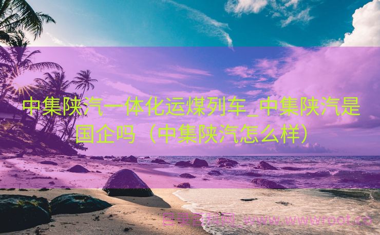 中集陕汽一体化运煤列车_中集陕汽是国企吗（中集陕汽怎么样）