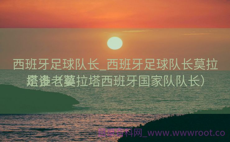 西班牙足球队长_西班牙足球队长莫拉塔多老婆
是谁（莫拉塔西班牙国家队队长）