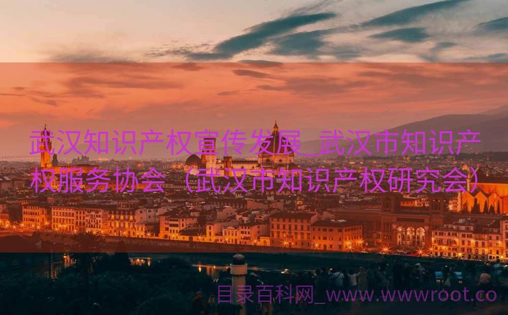 武汉知识产权宣传发展_武汉市知识产权服务协会（武汉市知识产权研究会）
