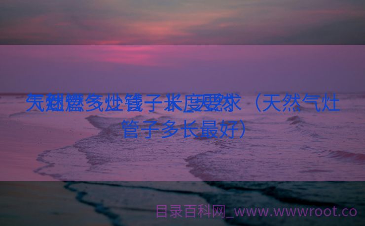 天然

气灶管多少钱一米_天然

气到燃气灶管子长度要求（天然气灶管子多长最好）