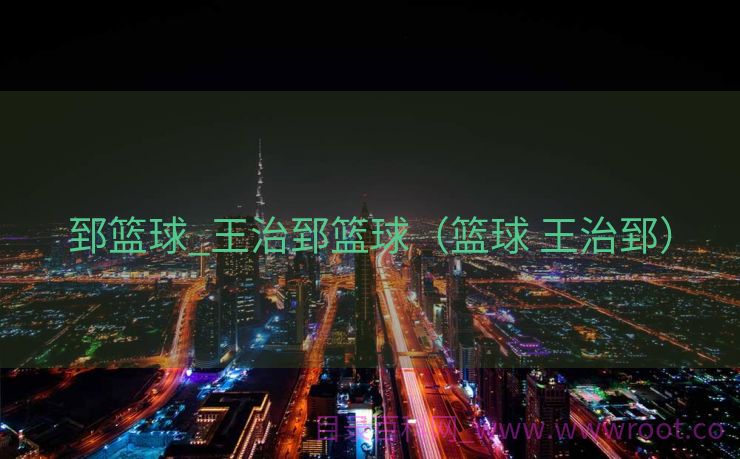 郅篮球_王治郅篮球（篮球 王治郅）