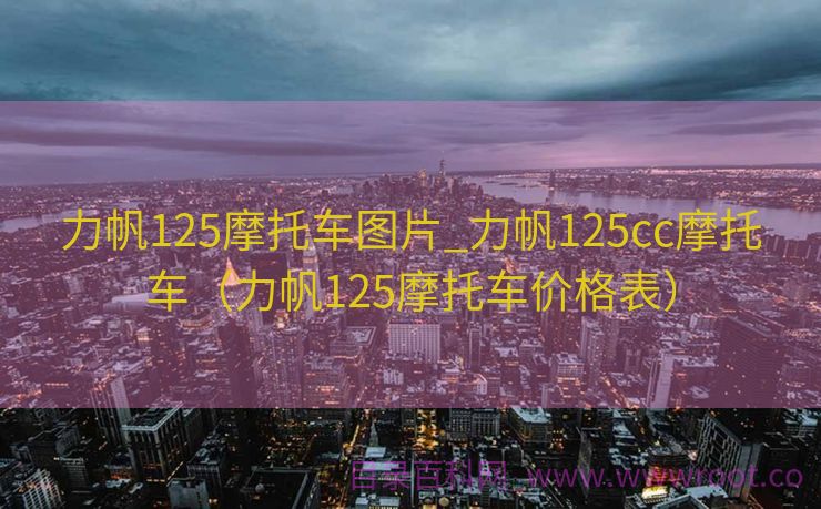 力帆125摩托车图片_力帆125cc摩托车（力帆125摩托车价格表）