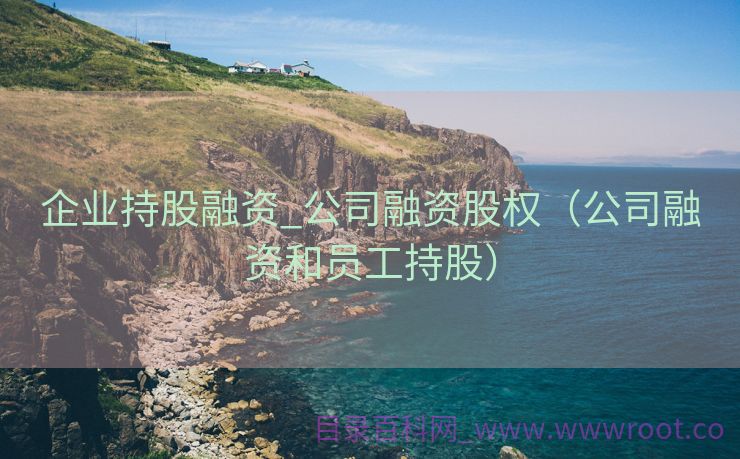 企业持股融资_公司融资股权（公司融资和员工持股）