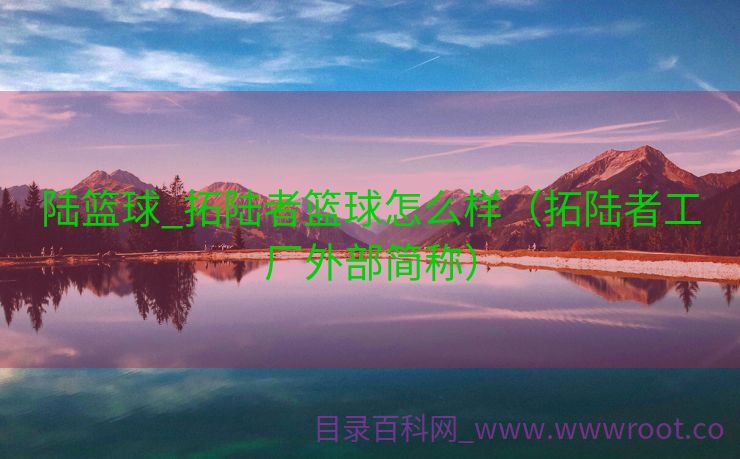 陆篮球_拓陆者篮球怎么样（拓陆者工厂外部简称）