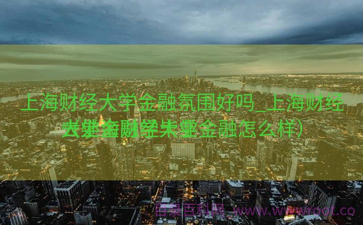 上海财经大学金融氛围好吗_上海财经大学金融学毕业

去处
（上海财经大学金融怎么样）