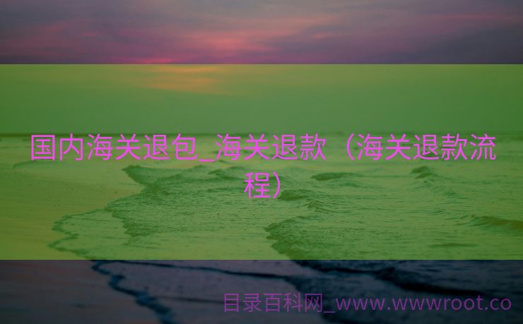 国内海关退包_海关退款（海关退款流程）