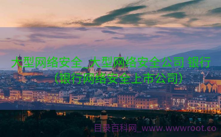 大型网络安全_大型网络安全公司 银行（银行网络安全上市公司）