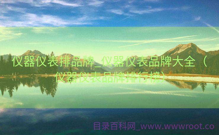仪器仪表排品牌_仪器仪表品牌大全（仪器仪表品牌排行榜）