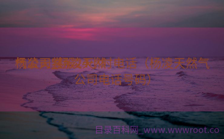 杨凌天然

气公司_杨凌天然

气公司客服24小时电话（杨凌天然气公司电话号码）